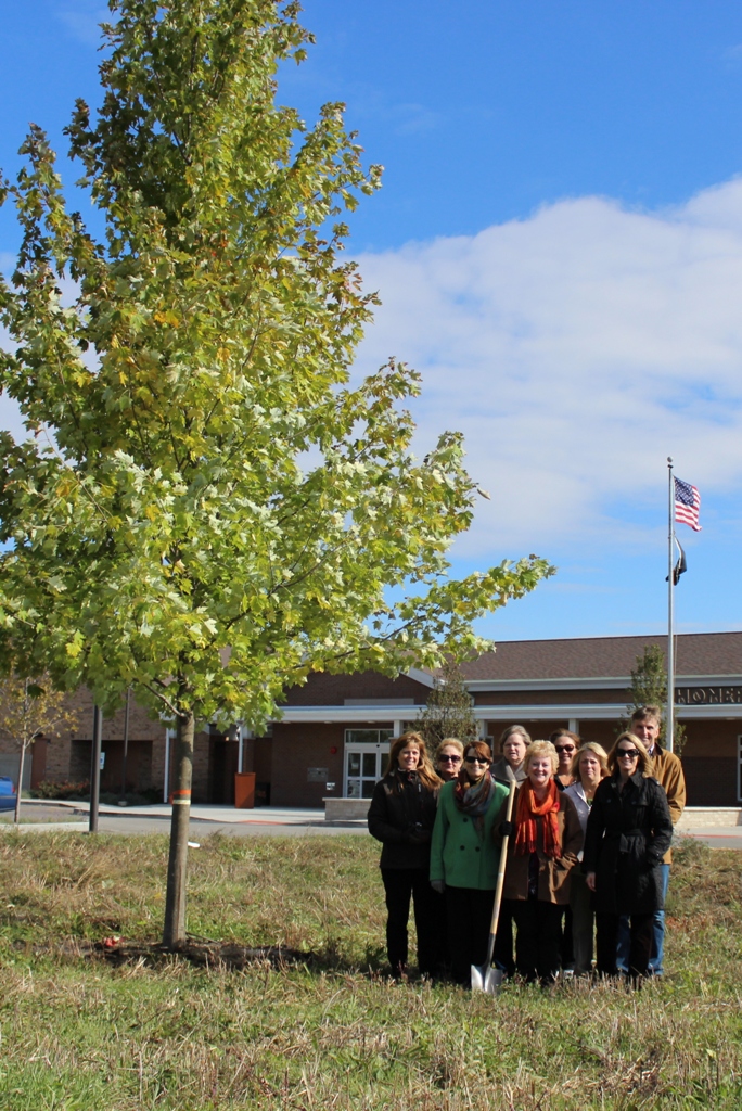 Tree in Ground Shows Equipment and People With a Shovel